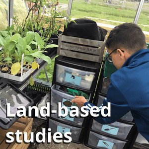 a student getting equipment for his horticulture lesson
