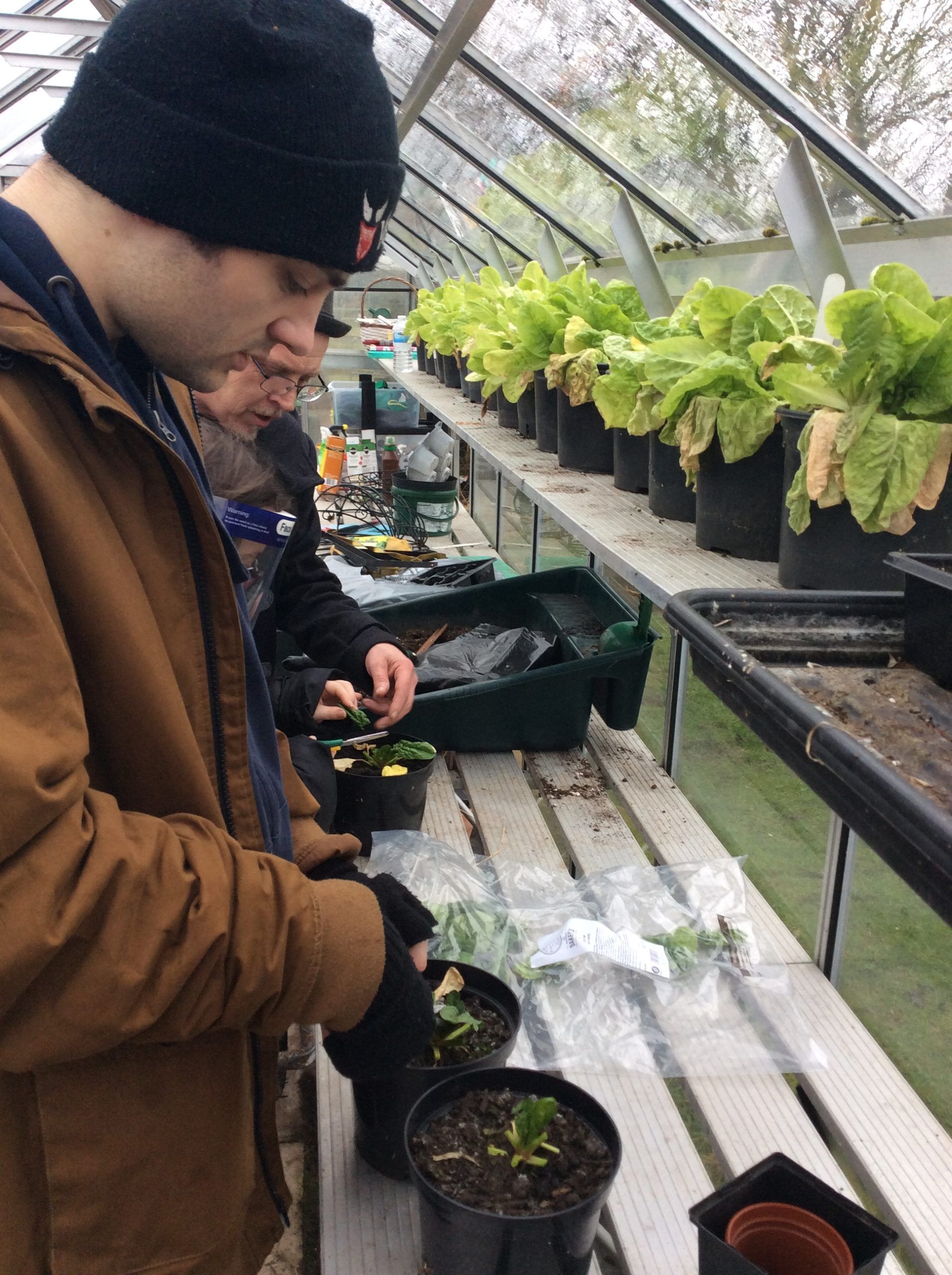 a student working in the greenhouse
